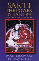 Pandit Rajmani Tigunait, Rajmani Tigunait - Sakti - Pandit Rajmani Tigunait, Rajmani Tigunait (ISBN: 9780893891541)