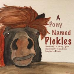 A Pony Named Pickles (ISBN: 9781633021860)