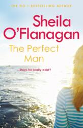 The Perfect Man (ISBN: 9780755343812)
