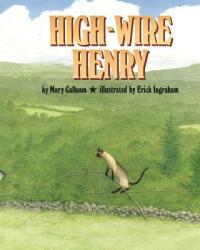 High-Wire Henry (ISBN: 9781635618488)