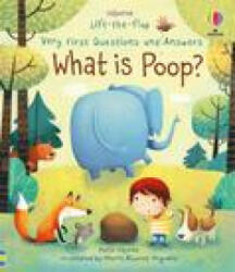 Very First Questions and Answers What Is Poop? - Marta Alvarez Miguens (ISBN: 9781805317227)