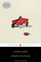 Death in the Family - James Agee, Steve Earle (ISBN: 9780143105718)