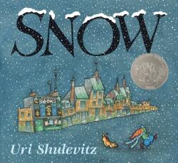 Snow (ISBN: 9780374370923)