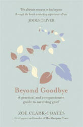 Beyond Goodbye - Zoe Clark-Coates (ISBN: 9781409185406)