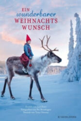 Ein wunderbarer Weihnachtswunsch - Lori Evert, Per Breiehagen, Tanya Stewner (2016)