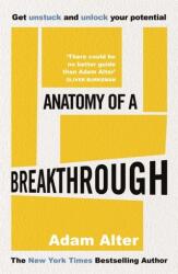 Anatomy of a Breakthrough (ISBN: 9781785120022)