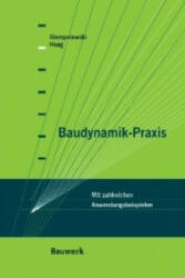 Baudynamik-Praxis - Lothar Stempniewski, Björn Haag (ISBN: 9783410215783)