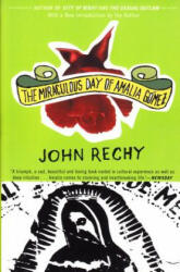 The Miraculous Day of Amalia Goomez - John Rechy (ISBN: 9780802138477)