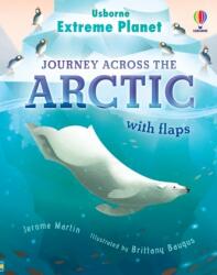 SEE INSIDE THE ARCTIC - JEROME MARTIN (ISBN: 9781474998741)