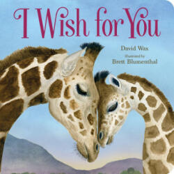 I Wish for You - Brett Blumenthal (ISBN: 9781250293114)