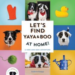 Let's Find Yaya and Boo at Home! (ISBN: 9781683693666)