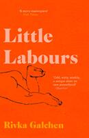 Little Labours (ISBN: 9780008225209)