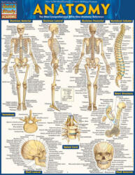 Anatomy Easel Book - Inc. Barcharts, Vincent Perez (ISBN: 9781423222781)