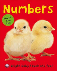 BRIGHT BABY TOUCH & FEEL NUMBERS - Priddy Books (ISBN: 9780312504236)