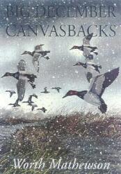 Big December Canvasbacks Revised (ISBN: 9781568331539)