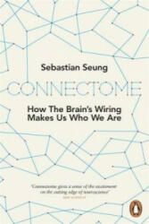 Connectome - Sebastian Seung (2013)