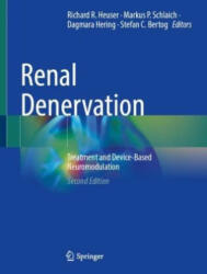 Renal Denervation: Treatment and Device-Based Neuromodulation (ISBN: 9783031389337)