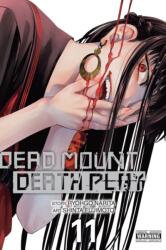 Dead Mount Death Play, Vol. 11 (ISBN: 9781975389772)