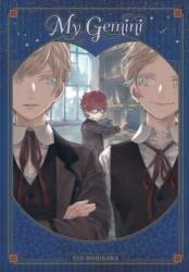 My Gemini (ISBN: 9781975366322)