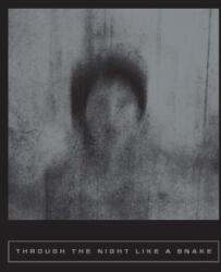 Through the Night Like a Snake: Latin American Horror Stories - Tomás Downey, Sarah Coolidge (ISBN: 9781949641578)