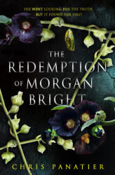 The Redemption of Morgan Bright (ISBN: 9781915202895)