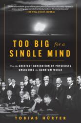 Too Big for a Single Mind: How the Greatest Generation of Physicists Uncovered the Quantum World - David Shaw (ISBN: 9781891011177)