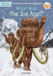 What Was the Ice Age? - Nico Medina, David Groff (ISBN: 9780399543890)
