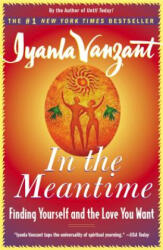 In the Meantime - Iyanla Vanzant (ISBN: 9780684848068)