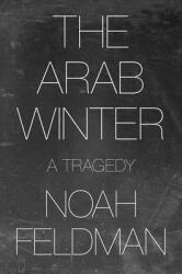 The Arab Winter: A Tragedy (ISBN: 9780691194929)