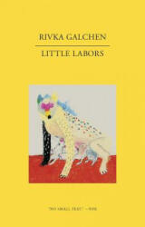 Little Labors - Rivka Galchen (ISBN: 9780811222969)
