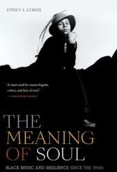 The Meaning of Soul (ISBN: 9781478009597)