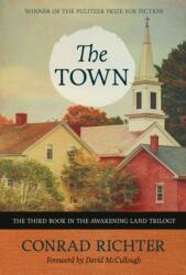 Town (ISBN: 9781613737439)