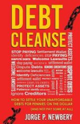 Debt Cleanse: How to Settle Your Unaffordable Debts for Pennies on the Dollar (ISBN: 9781619613225)