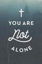 You Are Not Alone (ISBN: 9781682163429)