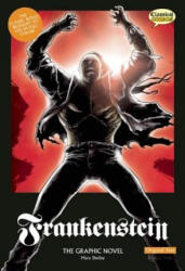 Frankenstein - Mary Wollstonecraft Shelley (ISBN: 9781906332495)