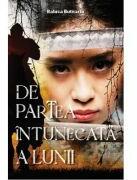 De partea intunecata a lunii - Raluca Butnariu (ISBN: 9786068998688)