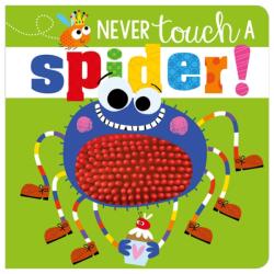 Never Touch A Spider! (ISBN: 9781788432795)