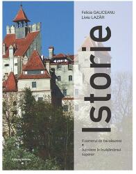 Istorie (ISBN: 9786065359642)