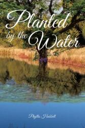 Planted by the Water (ISBN: 9781636302539)