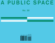 A Public Space No. 30 (ISBN: 9781733973007)