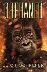 Orphaned (ISBN: 9780545655057)