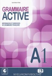 Grammaire active - Carine Mercier-Pontec (ISBN: 9788853615091)
