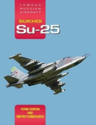 Famous Russian Aircraft Sukhoi Su-25 - Y. GORDON (2020)