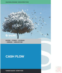 CASH-FLOW (ISBN: 9789636386849)