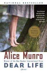Dear Life: Stories (2013)