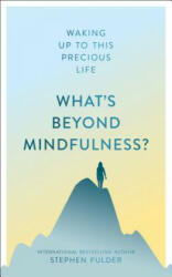 What's Beyond Mindfulness? - Stephen Fulder (ISBN: 9781786781987)