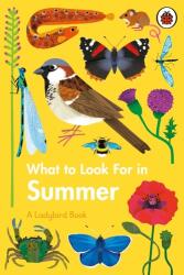 What to Look For in Summer (ISBN: 9780241416204)