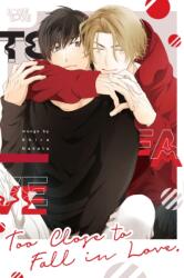 Too Close to Fall in Love (ISBN: 9781427877246)
