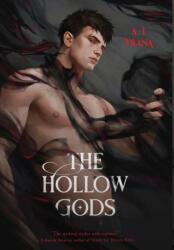 Hollow Gods (ISBN: 9781956136562)