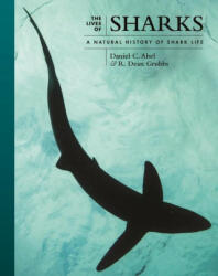The Lives of Sharks - A Natural History of Shark Life - Daniel Abel, R. Dean Grubbs (ISBN: 9780691244310)